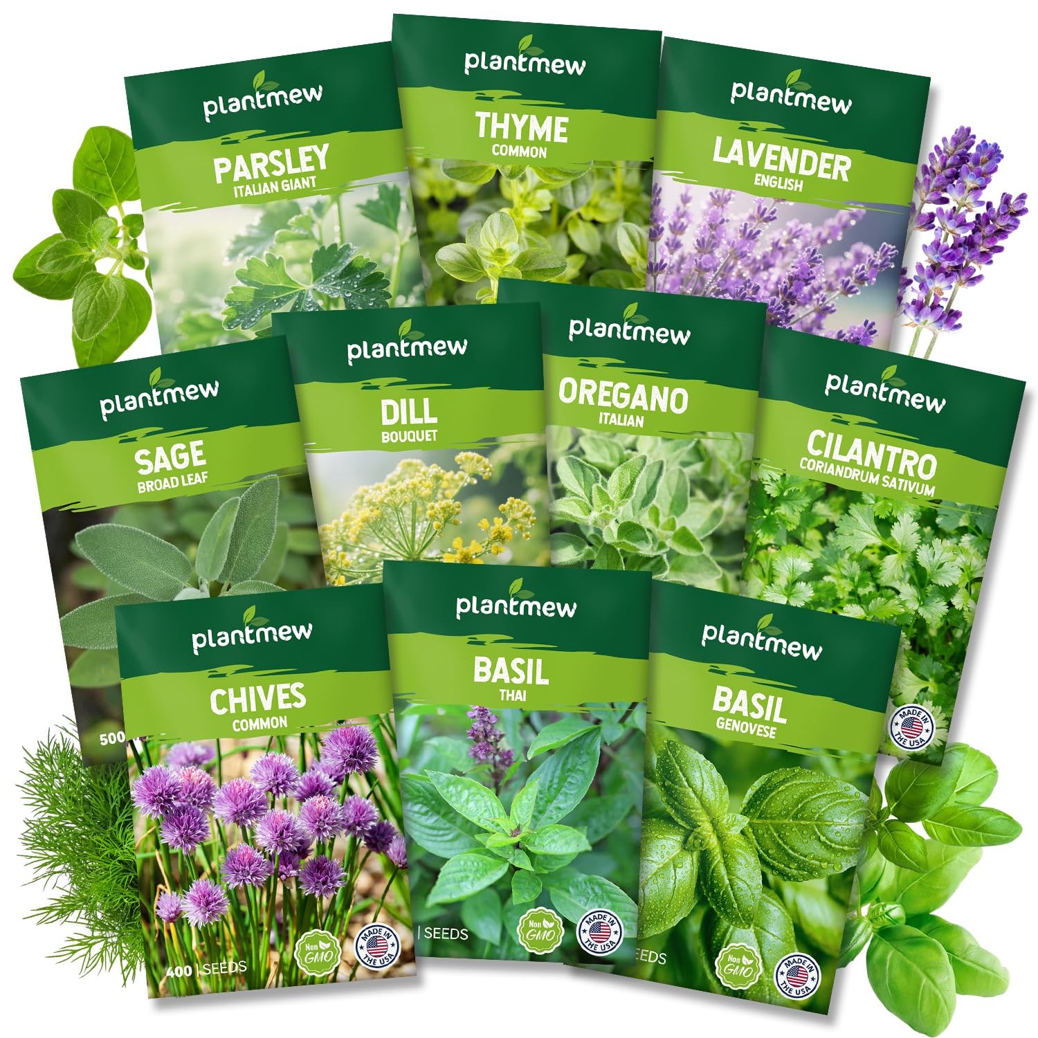 PLANTMEW 10 Herb Seeds Variety Pack 70 Heirloom Non GMO Seeds Basil Cilantro