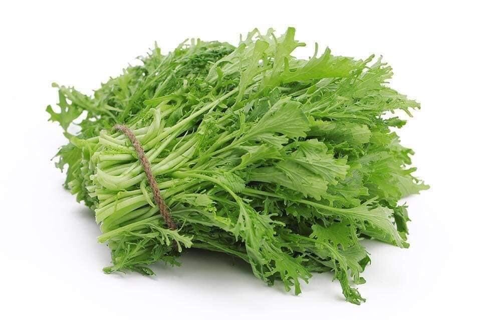 Cai Ngot Duoi Phung Xanh 1000 seeds + 500 Free, easy to Grow Cải Đuôi Phụng