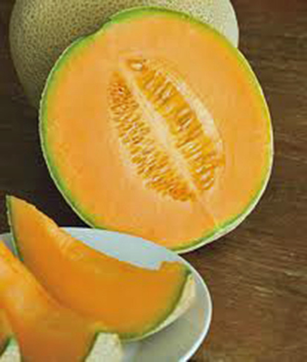 MUSKMELLON, HALES BEST JUMBO, HEIRLOOM, 25+ SEEDS, SWEET AND DELICIOUS