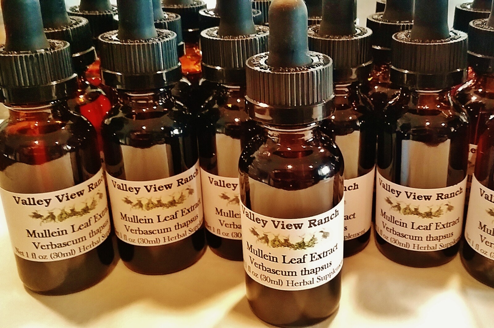 Mullein Organic Dry Leaf or Mullein Tincture/Extract or Seeds/ NON GMO