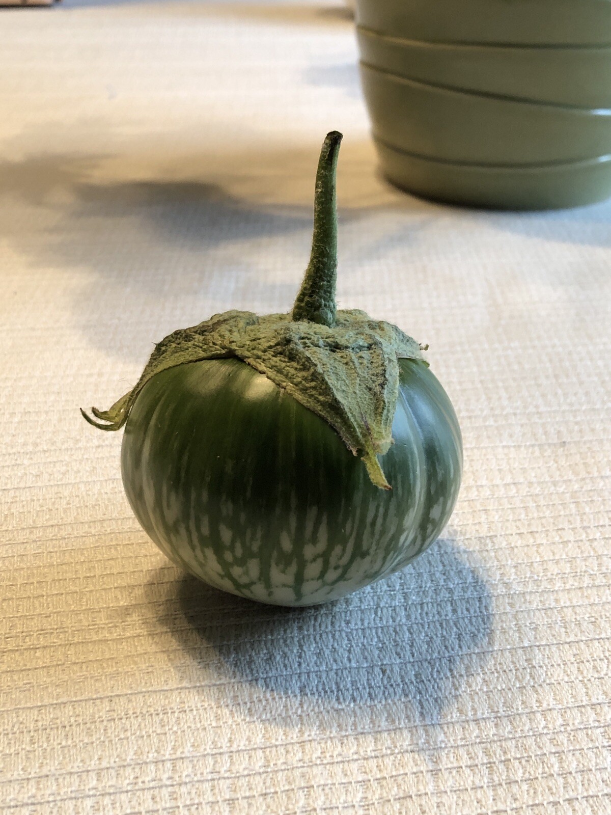 40+ Thai eggplant seeds Grown Organically NON GMO Shipping Within US