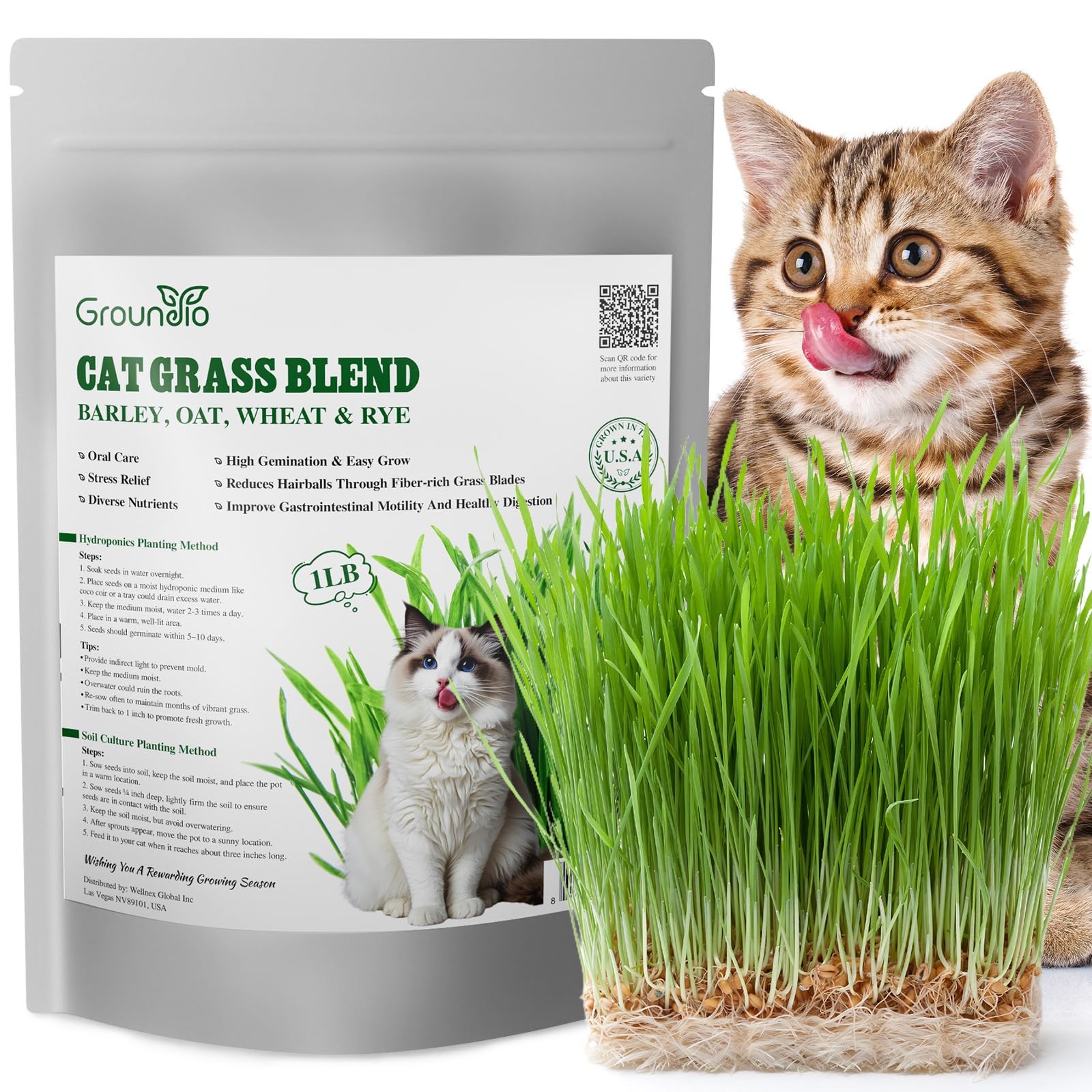 Cat Grass Seeds 16oz NonGMO Barley, Oats, Wheat, Rye Fast Germination