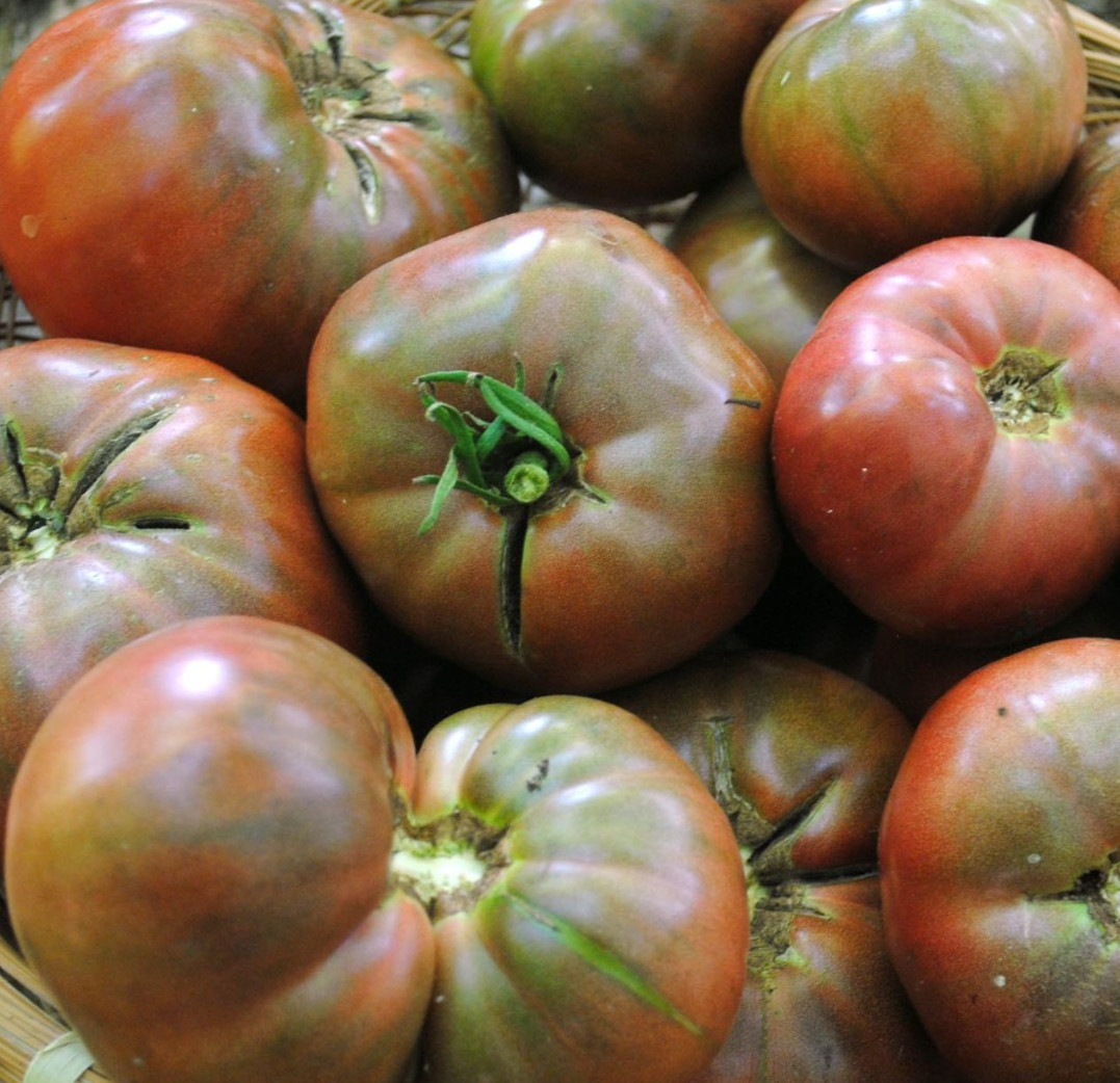 CHEROKEE PURPLE TOMATO SEEDS 100+ indeterminate VEGETABLE garden SOLANUM NON-GMO