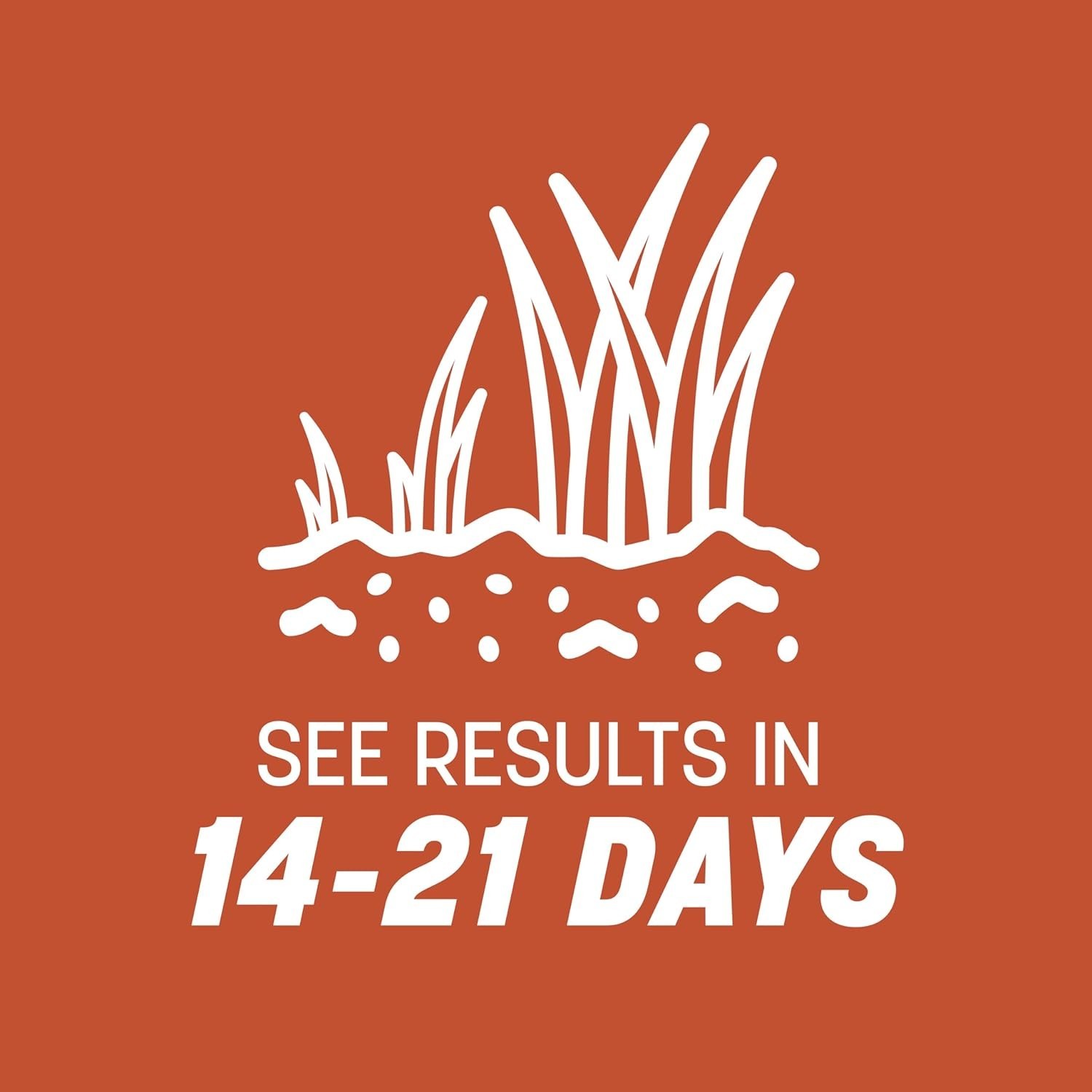 5 lb Cold-Tolerant Bermudagrass Seed – Drought-Resistant Lawn Solution