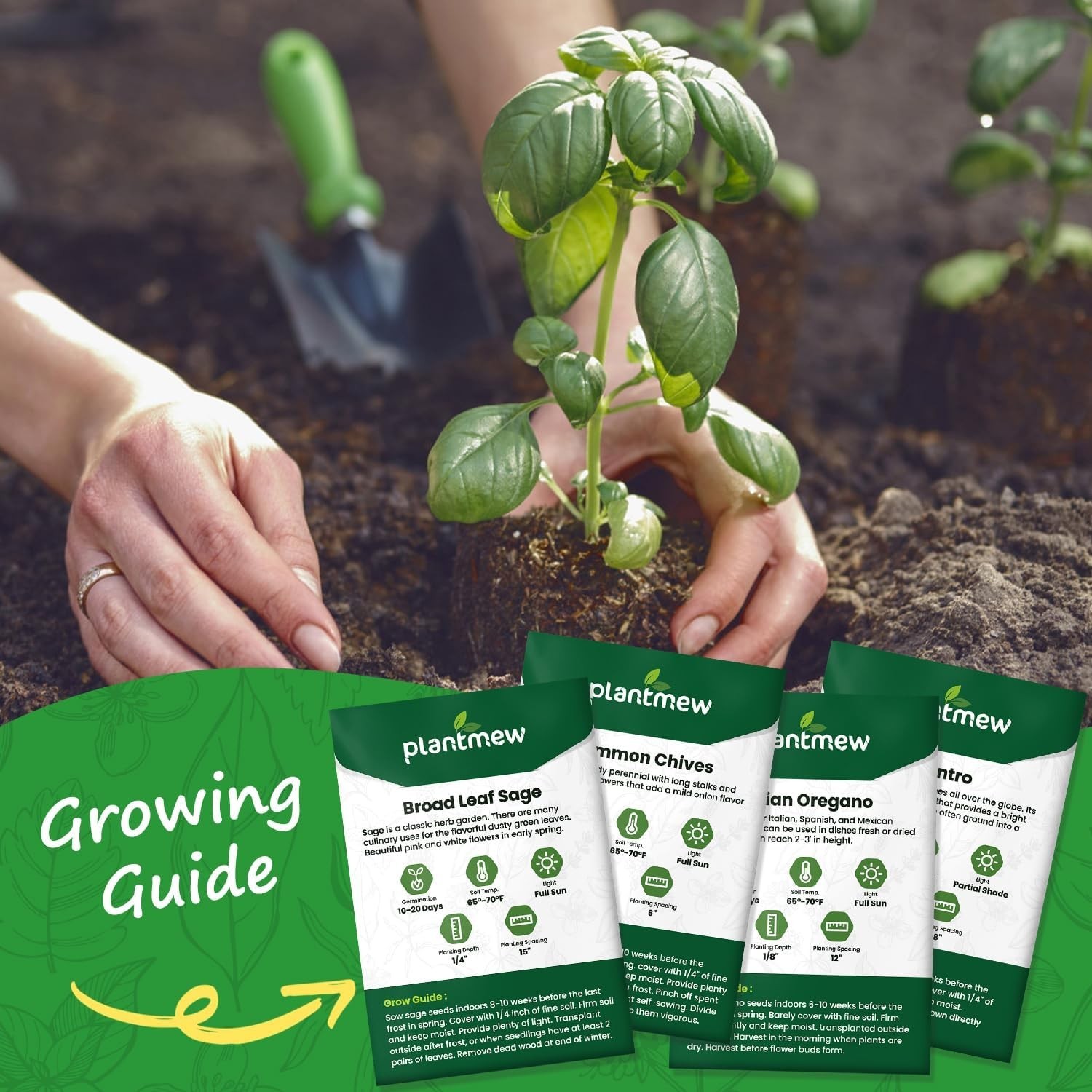 Assorted Non-GMO Herb Seed Pack – 10 Heirloom Varieties for Gardening