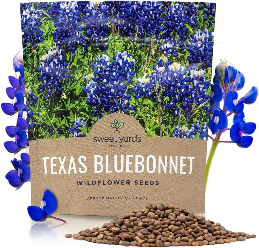 Texas Bluebonnet Wildflower – Bulk 1/2 Ounce Packet – over 500 Native – Texas