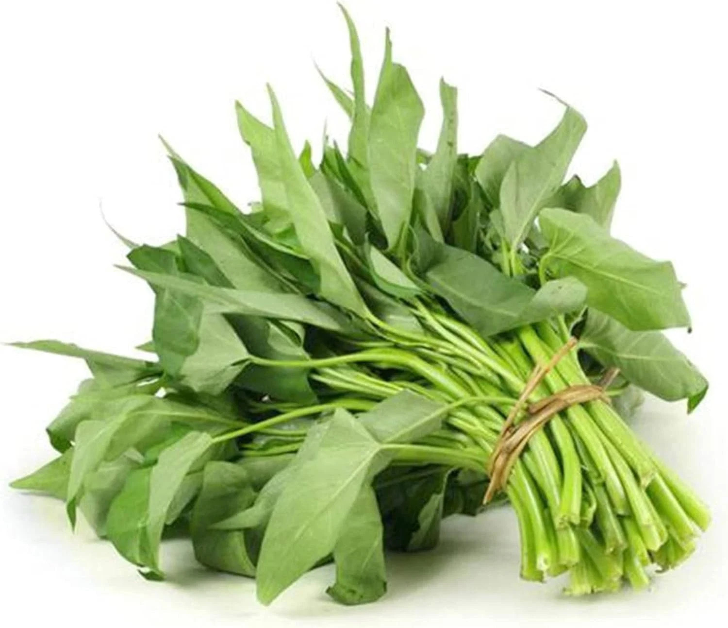 1000+ Kong Xin CAI Seeds for Yard & Garden – Non-Gmo Rau Muong Green Leaf Vegeta