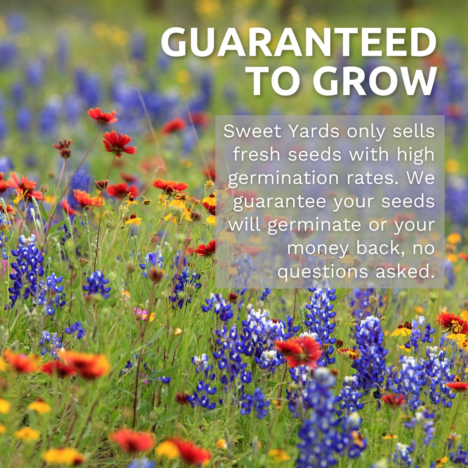 15000 PCS Midwest Regional Mix Large 1 Ounce Packet Flower Seeds Wildflower