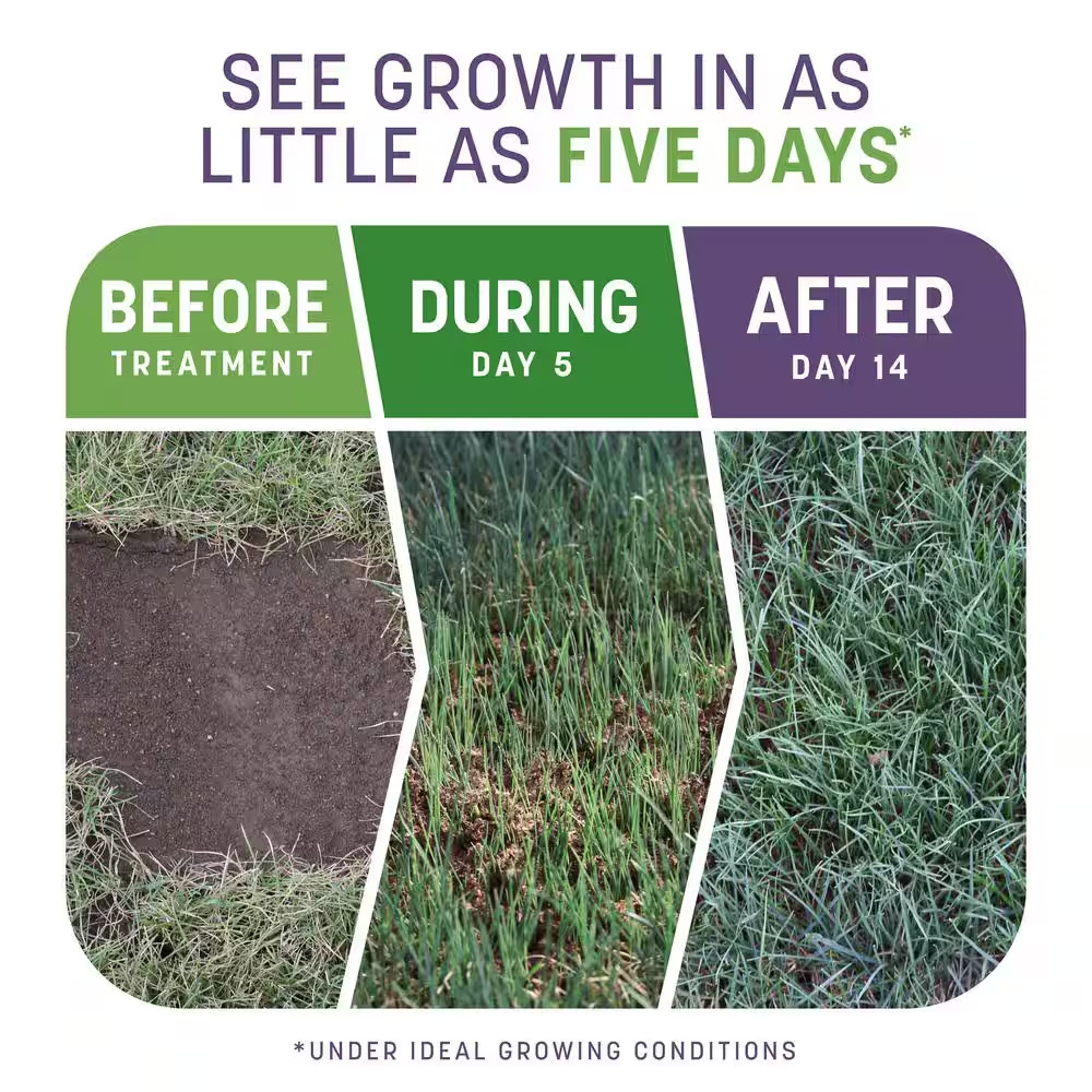 Smart Patch Dense Shade 10 Lb. 200 Sq. Ft. Grass Seed Bare Spot Repair with Mulc