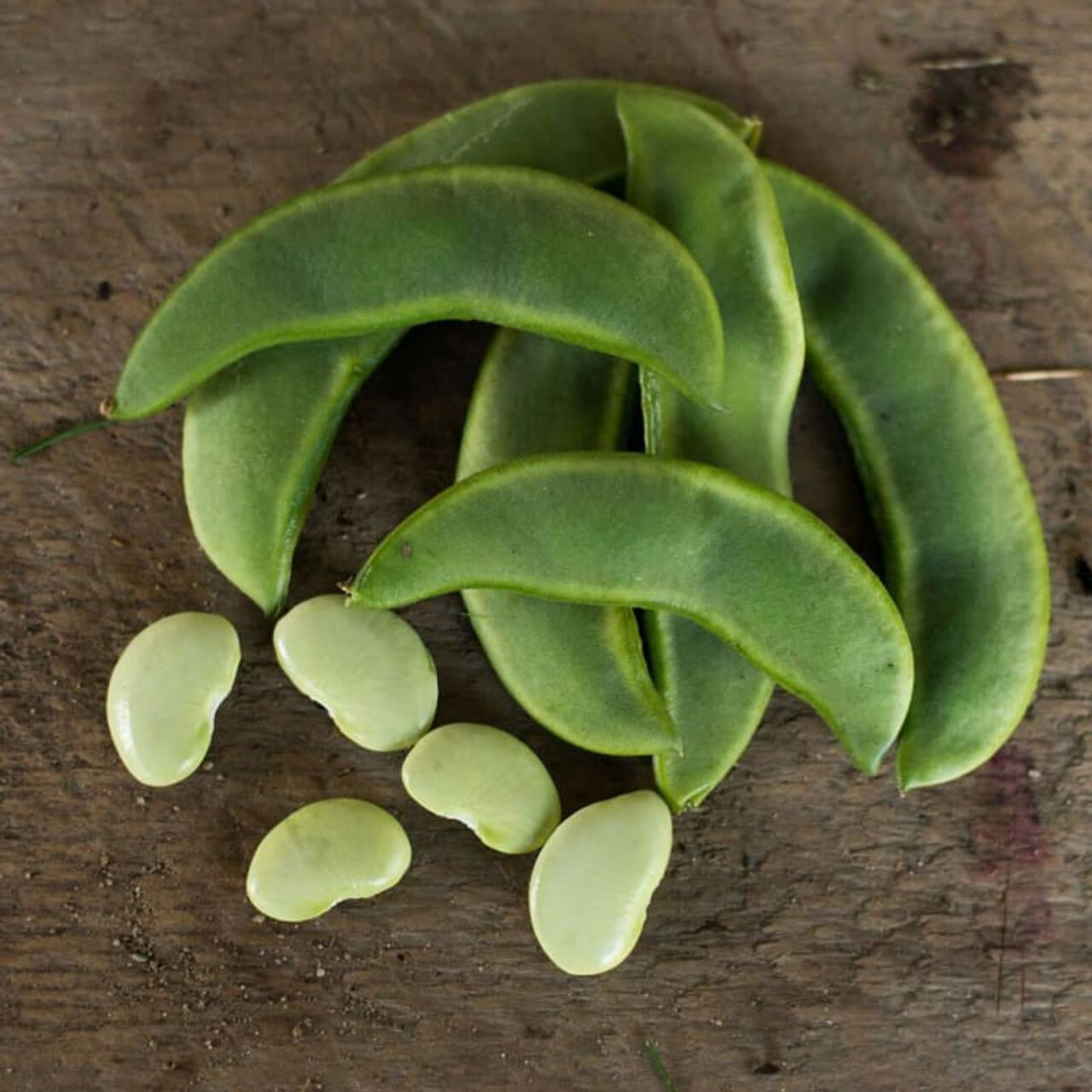 Burpee Improved Lima Bean Seeds, Butter Beans, NON-GMO, Heirloom, FREE SHIPPING