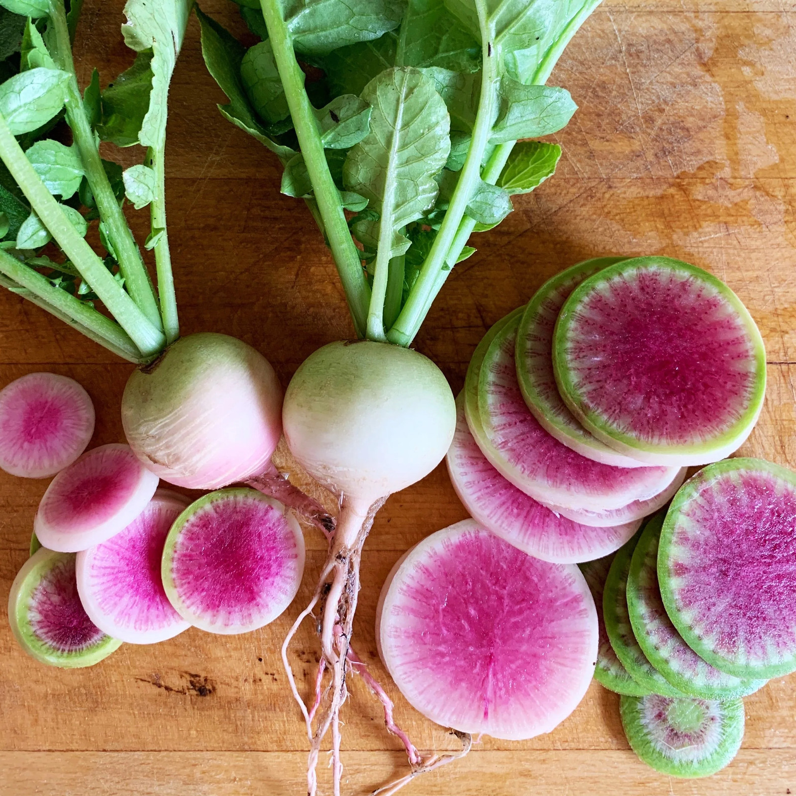 Watermelon Radish Seeds | Shinrimei Pink Heart Daikon Asian Vegetable Seed 2024