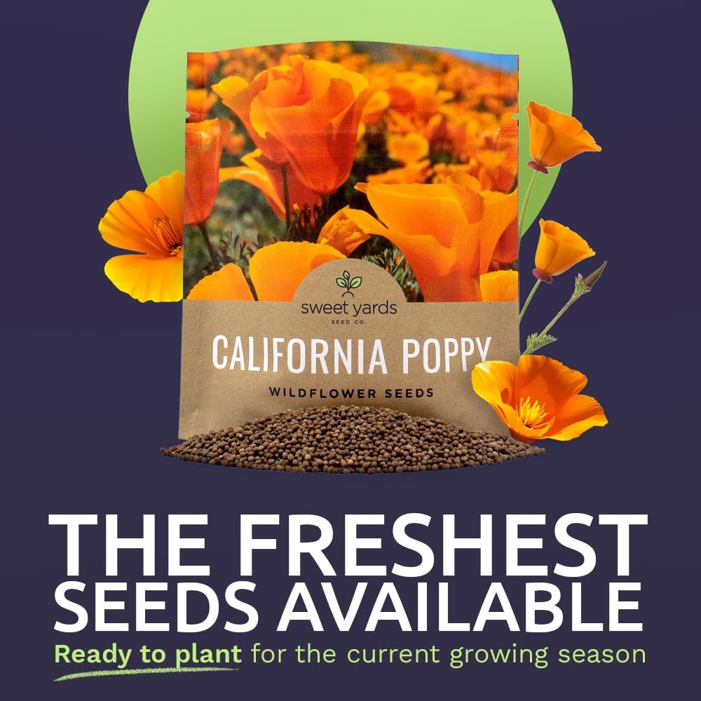 California Orange Poppy Wildflower Seeds Bulk 1 Ounce Packet Over 20,000 Na…