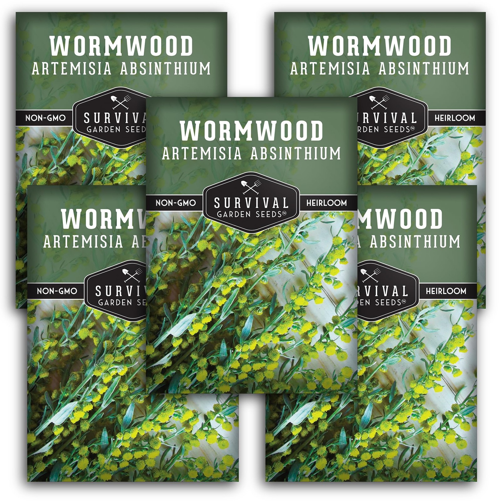 Survival Garden Seeds Wormwood for Planting 5 Packets with Growing Guide