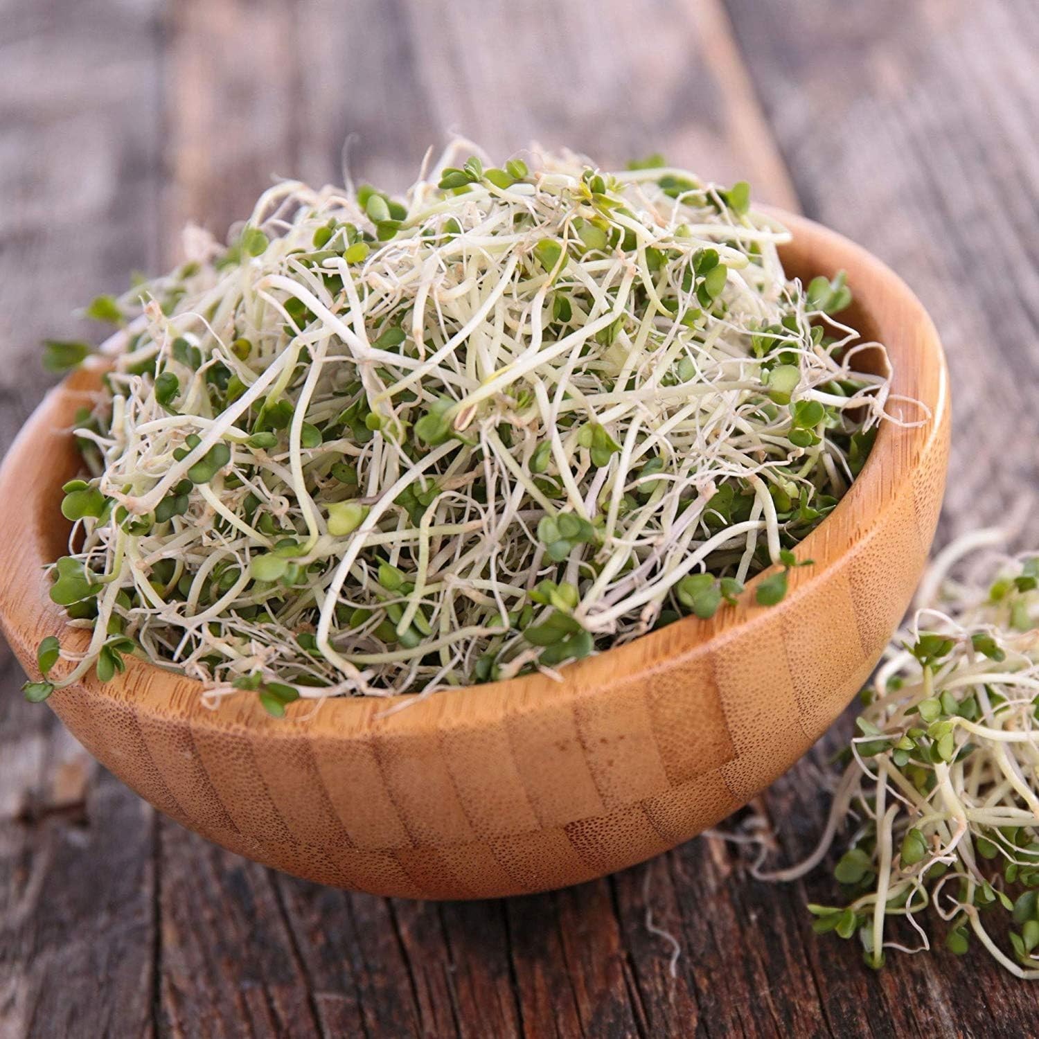 Organic Broccoli Sprouting Seeds – High Sulforaphane Power