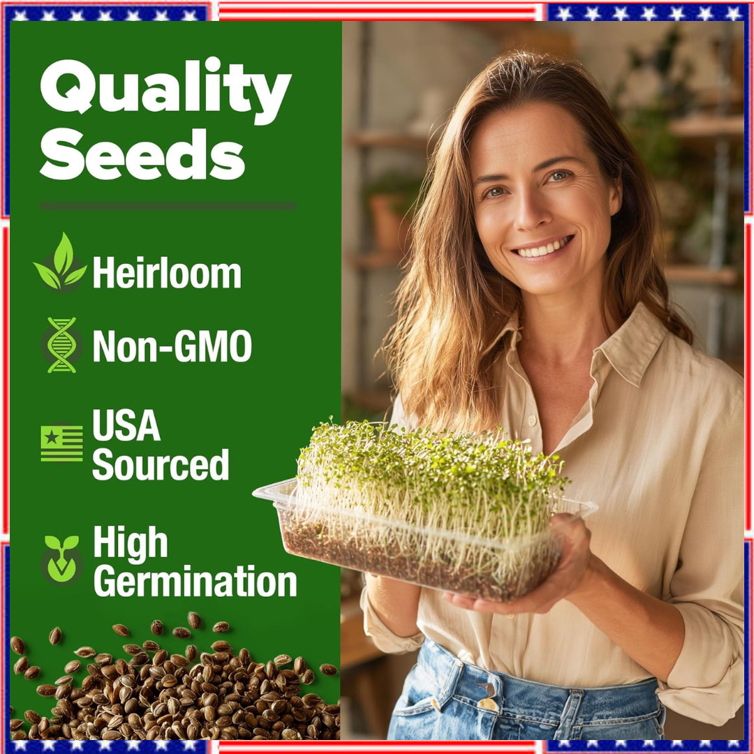 Alfalfa Sprouting & Microgreens Seeds – 99,700 Non-GMO Heirloom