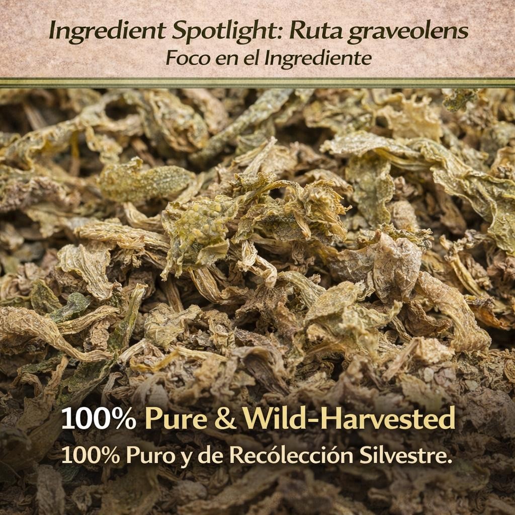Ruda Seca Té (Rue Dried Herbs Tea) 4oz (113g) – Ruta Graveolens – 100% Natural,