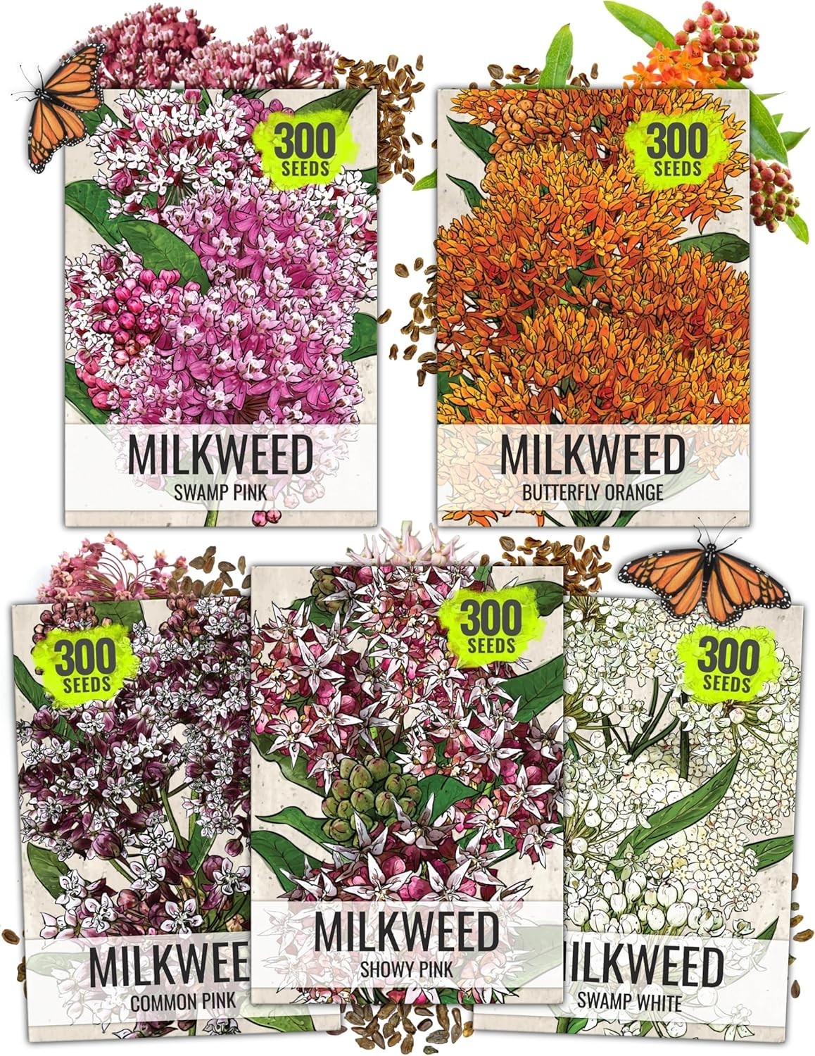 Seed Needs MEGA Milkweed Seed Packet Collection – 5 Individual Varieties