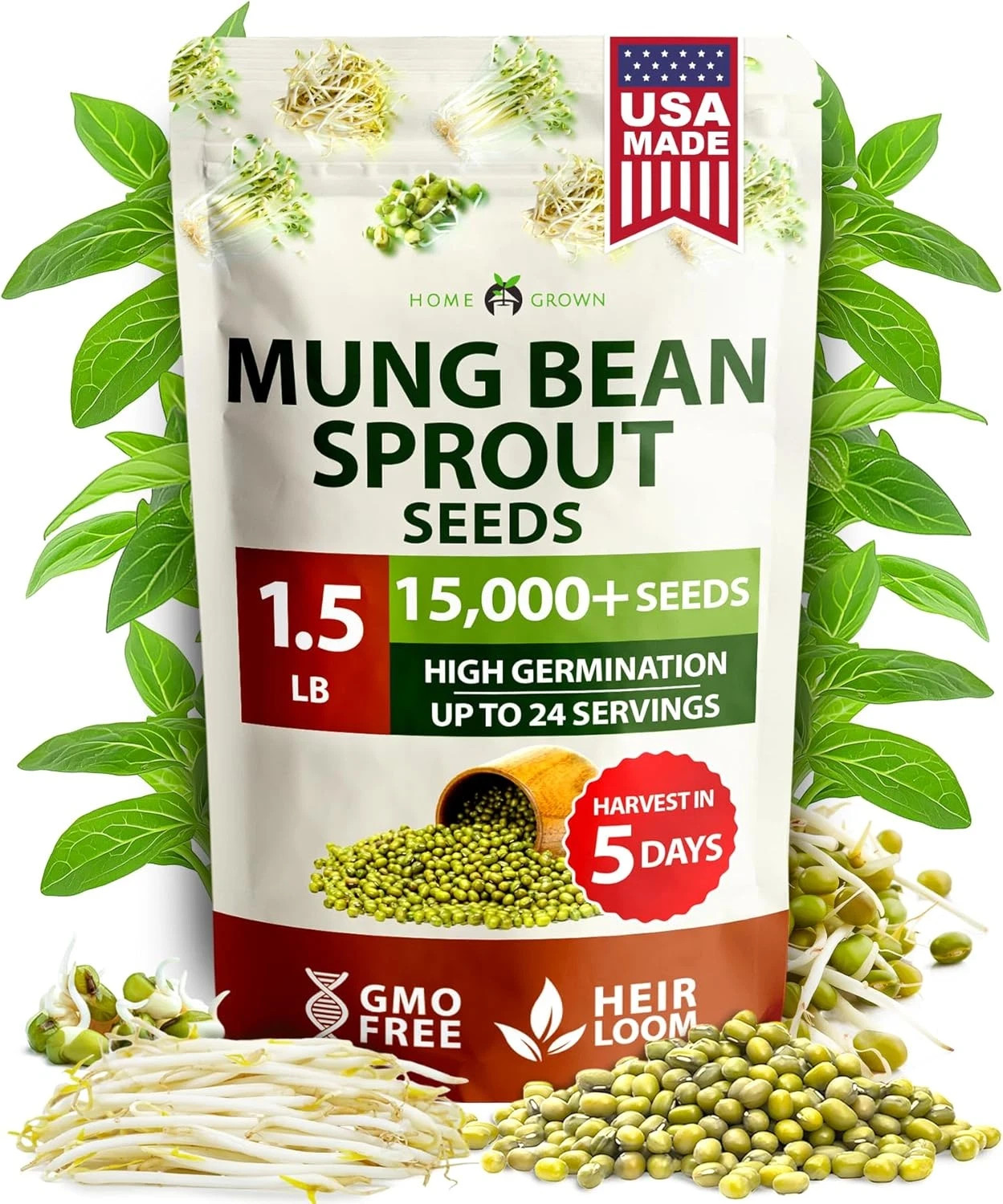 HOME GROWN Mung Beans Seeds Pack 1.5 lb Over 15,000 Sprouting Seeds Grow Fresh M
