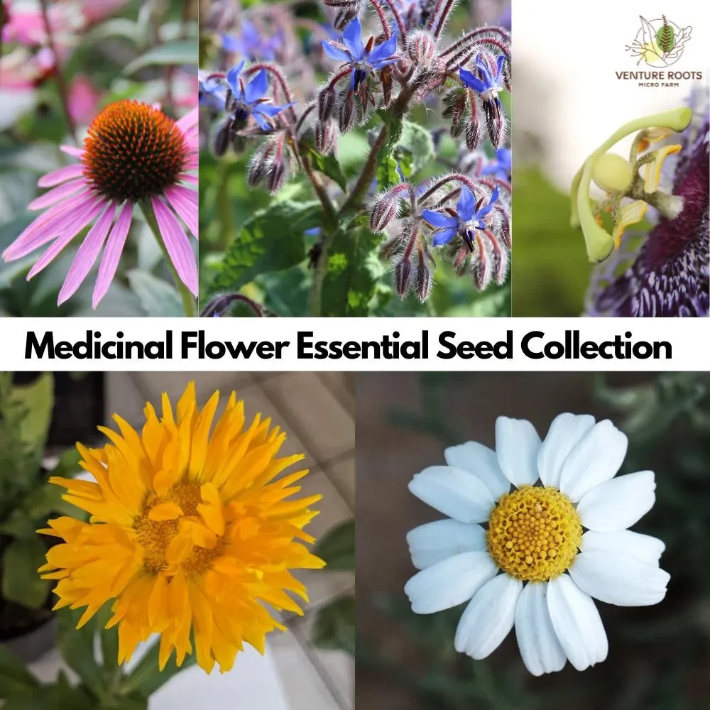 Medicinal Flower 5 Variety Seed Bundle|