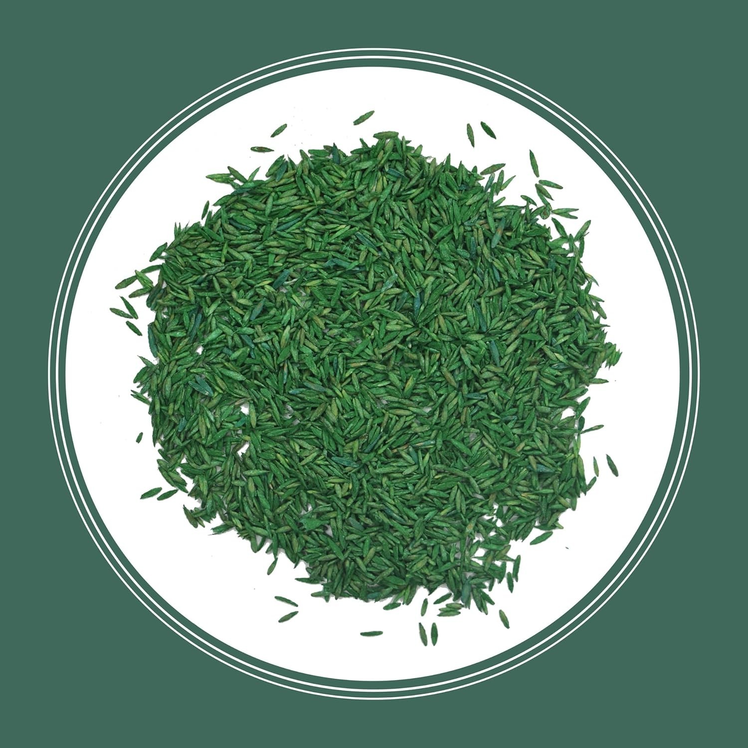 Fast Grow Grass Seed Mix for Sun And Shade Lawn Areas, 3 Pounds