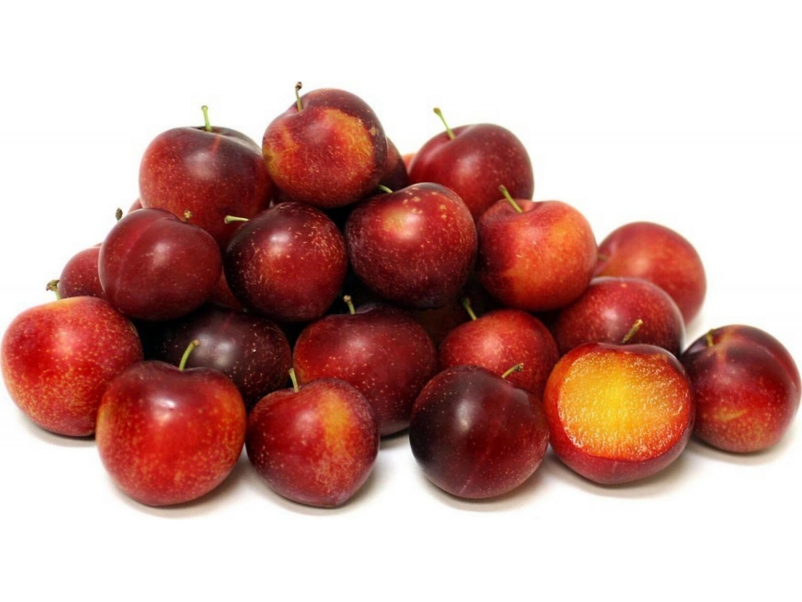 24-30″ tall Prunus cerasifera 2 year old plant, Potted cherry plum seedling