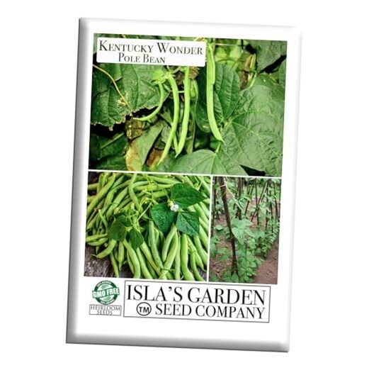 Kentucky Wonder Pole Bean Seeds (Phaseolus vulgaris) – 30+ Non-GMO Heirloom