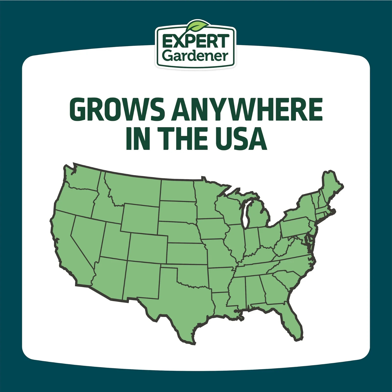 Expert Gardener Kwik Grass Seed Mix, for Sun to Partial Shade, 3 lb.