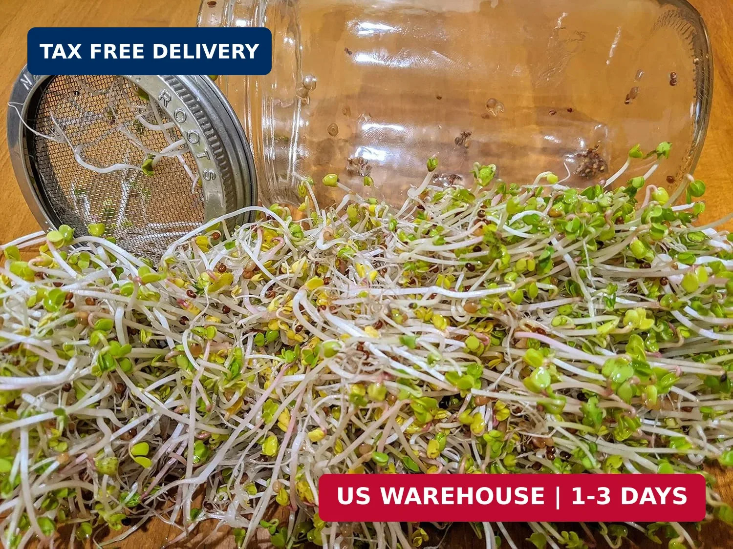 Variety Pack Sprouting Seeds Broccoli, Alfalfa, Radish, Mung beans & Salad Mix f