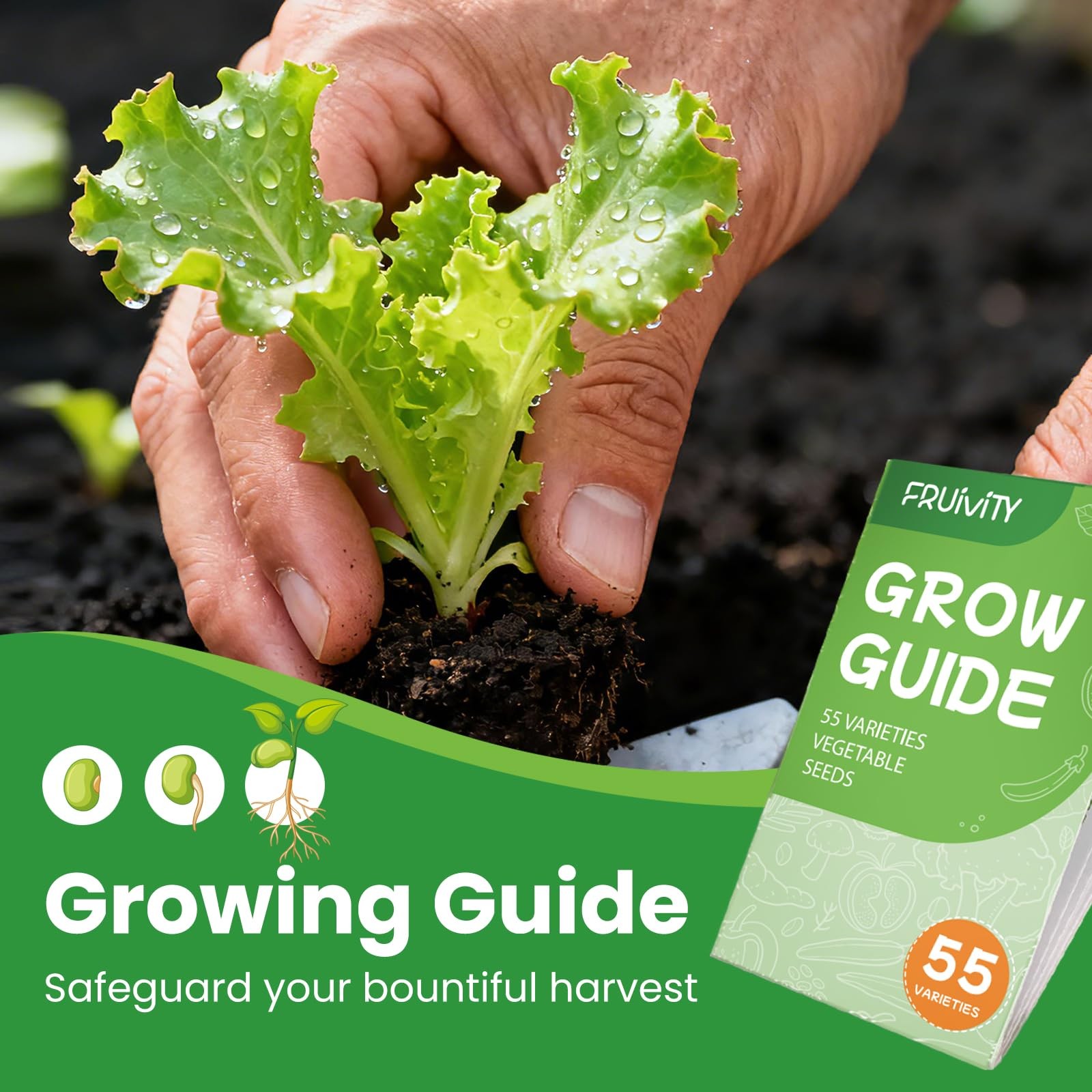 55 Vegetable Seeds Variety Pack – 39,000+ Heirloom Seeds for Planting Vegetab…