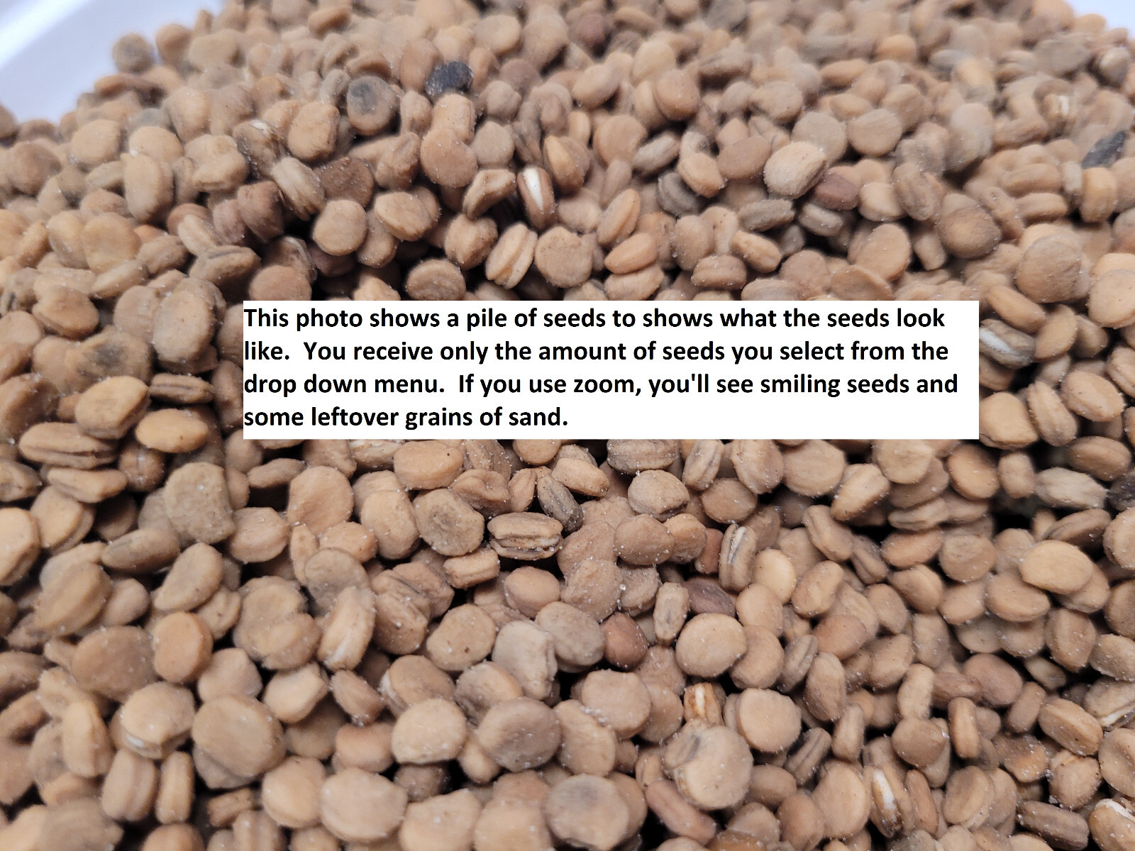 Stratified Paw Paw AMERICAN GINSENG SEEDS Panax quinquefolius(sold out) +Paw Paw