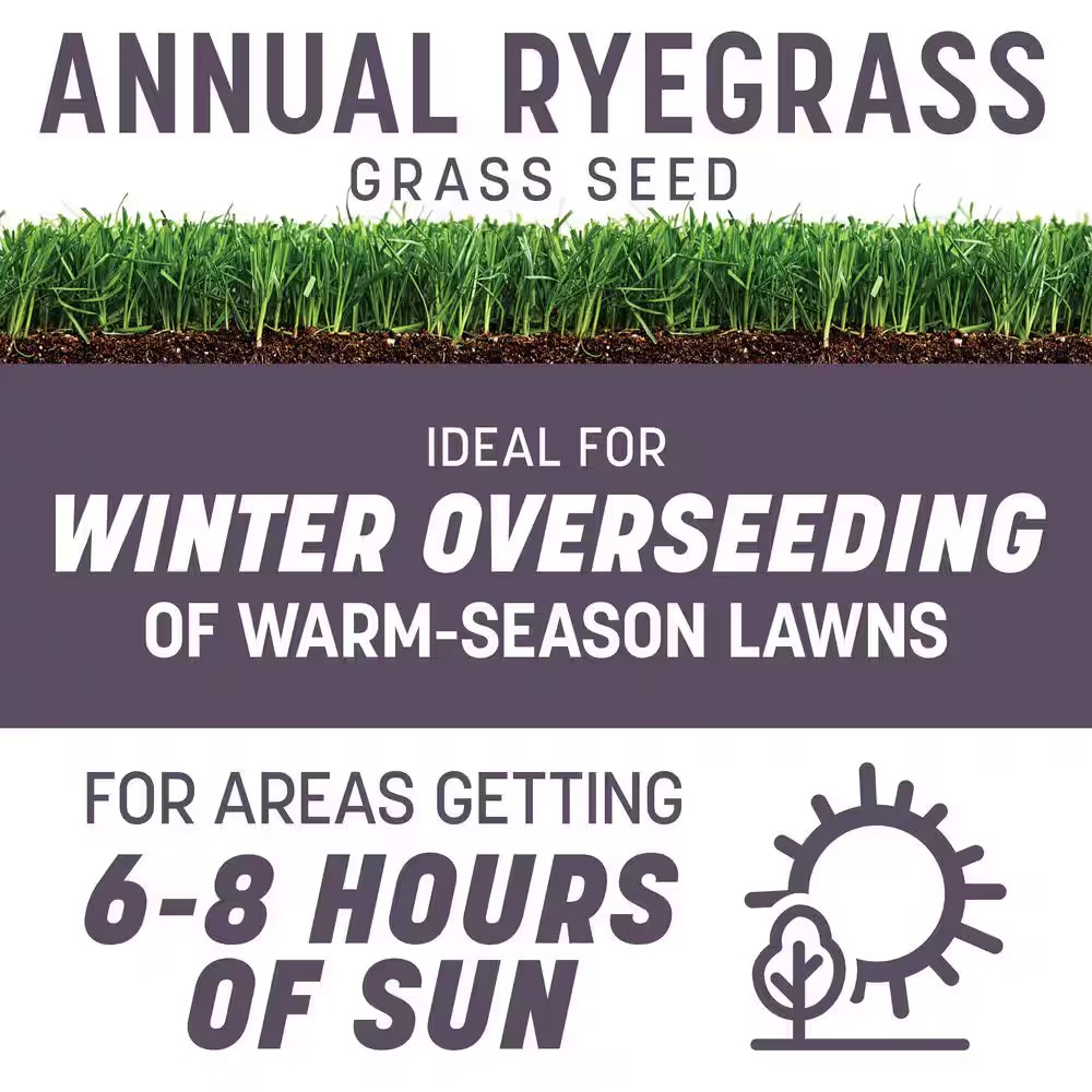 Annual Ryegrass 50 Lbs. 10,000 Sq. Ft. Grass Seed