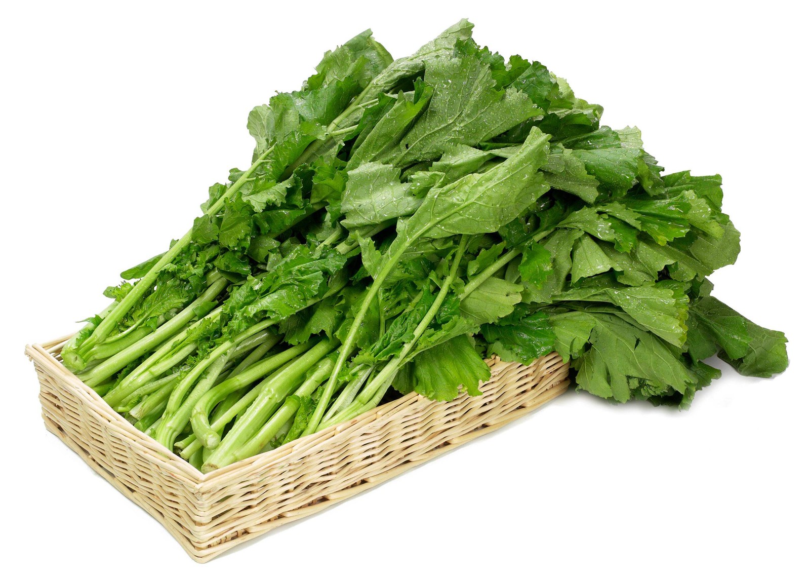 1500 SEVEN TOP TURNIP For Leaf Greens & Sprouts Brassica Rapa Vegetable Seeds