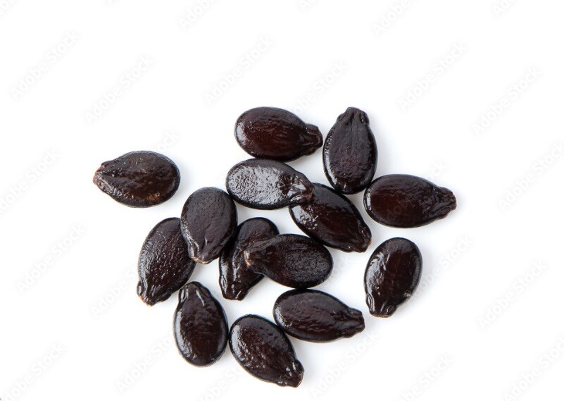 All Sweet Watermelon Seeds | Non-GMO | Free Shipping | 30 Count Seeds