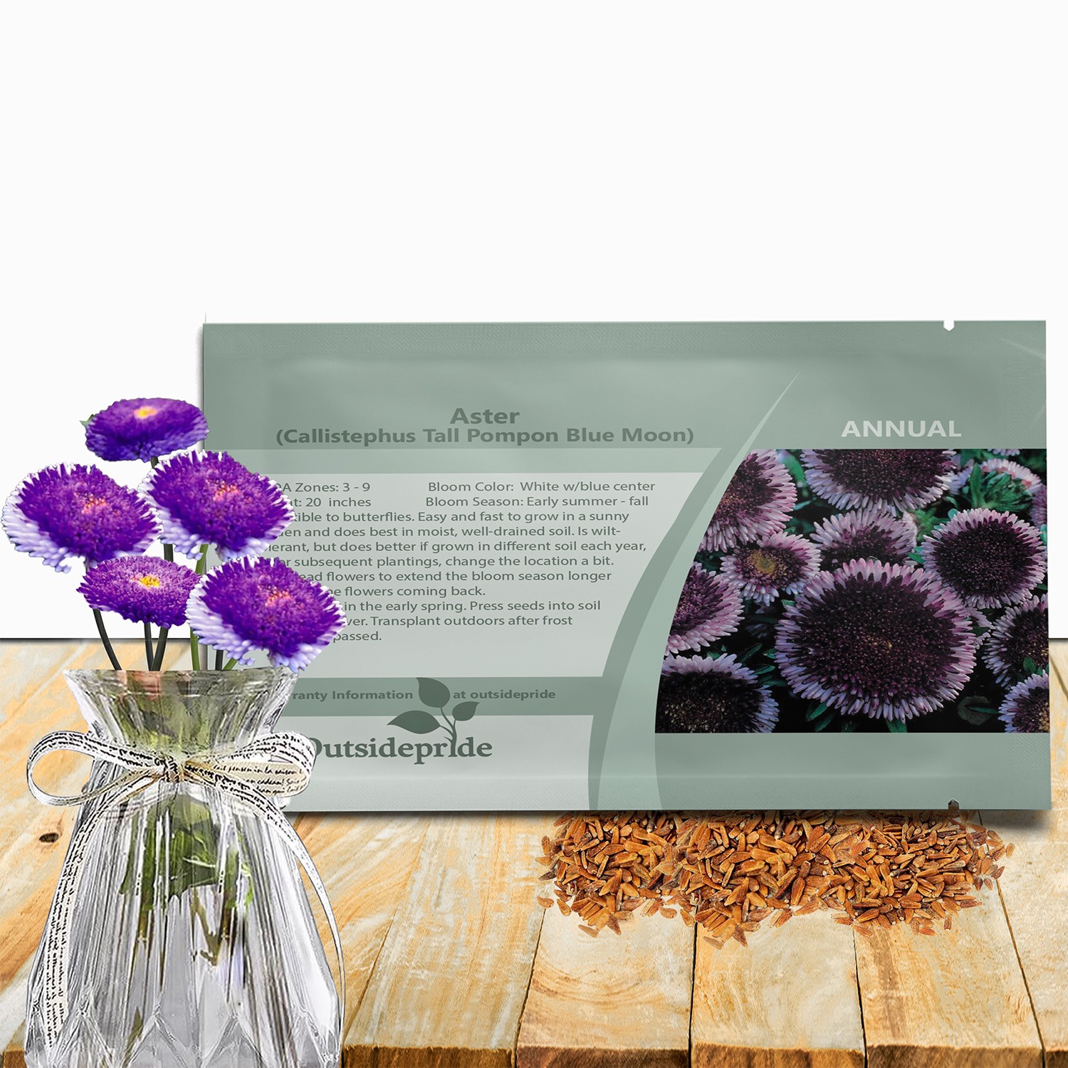 1000 Seeds Aster Seeds – Aster Callistephus Tall Pompon Blue Moon Flower Seed