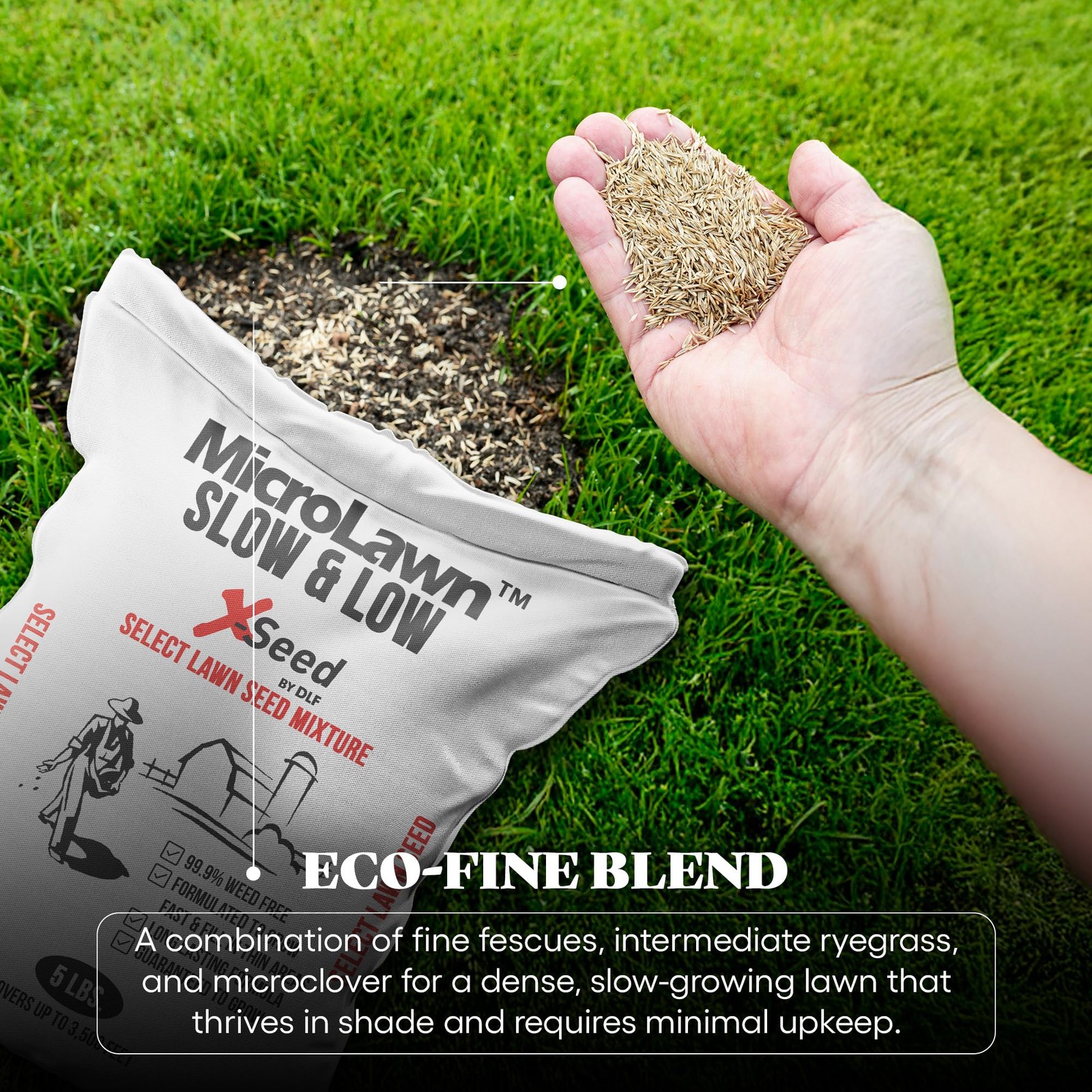 “5LB Micro Lawn Grass Seed for Cool Season, Shade, No Mow, Low Maintenance”