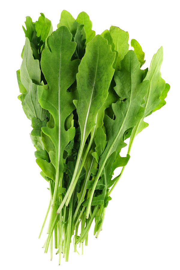601+ARUGULA ROQUETTE Seeds Organic Spring Fall Garden Patio Containers Fast Easy
