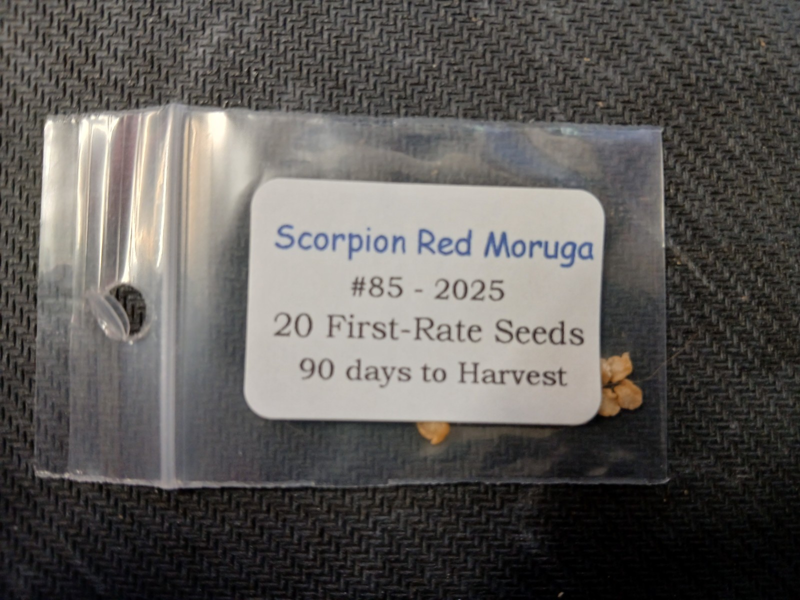 20 Super-Hot Moruga Red Scorpion Premium | NON-GMO | Pepper Seeds-B 55