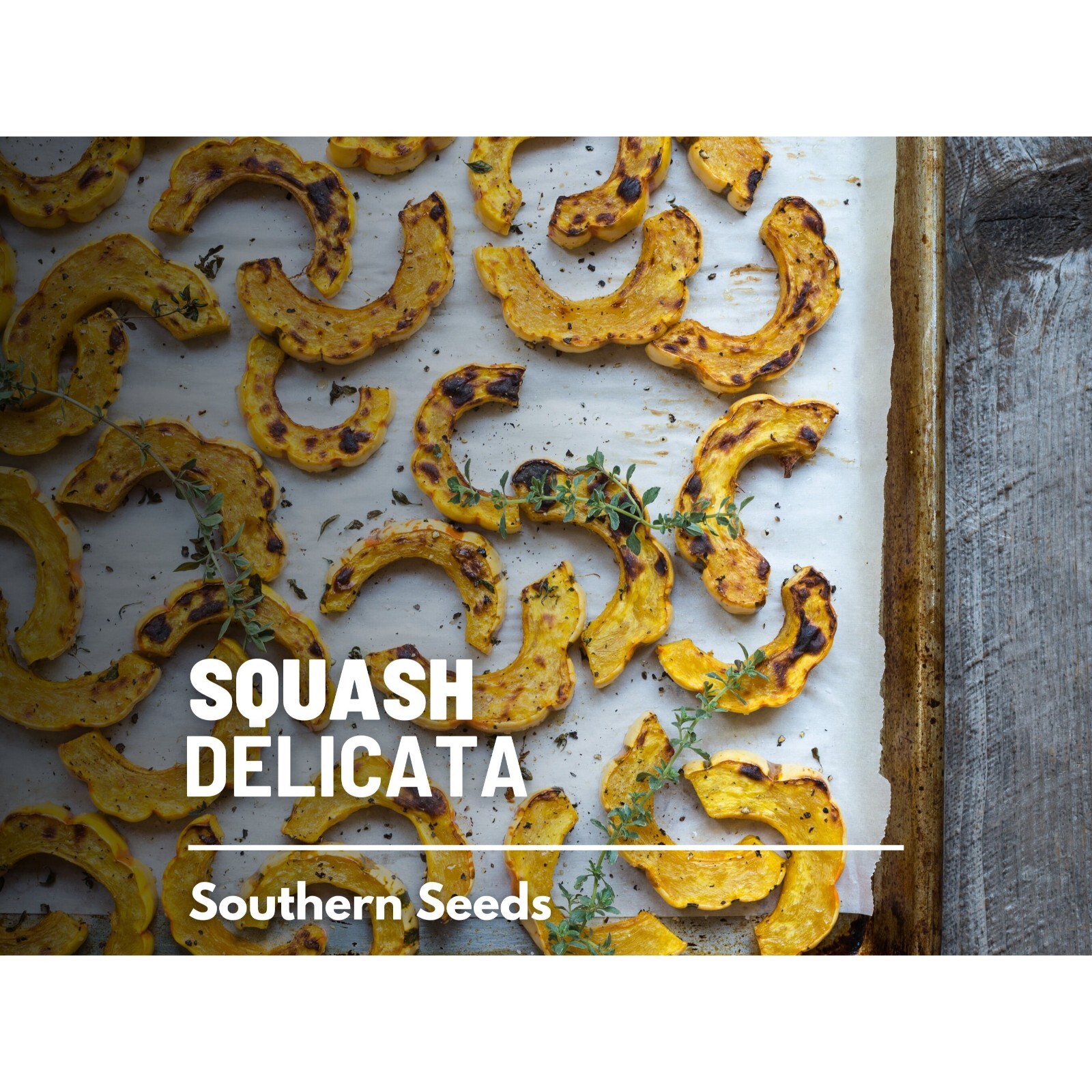 Squash, Delicata (Winter) – 20 Seeds – Heirloom Vegetable, Sweet Potato Squash,