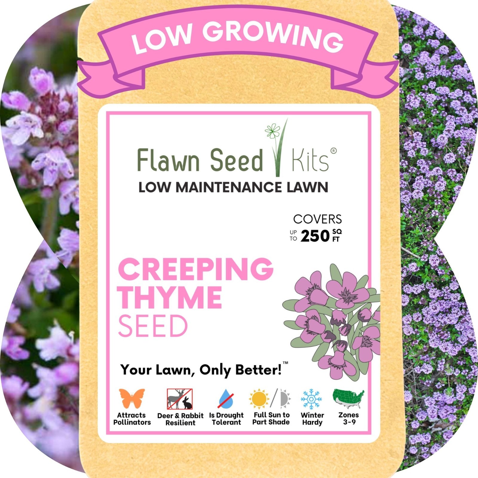 Flawn Seed Creeping Thyme, Pollinator Friendly, Low Maintenance, Ground Cover