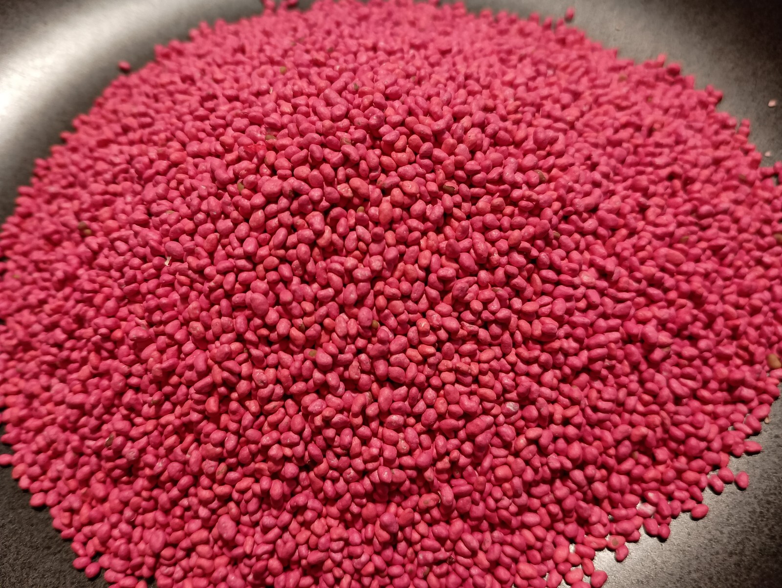 Alfalfa Seeds for Planting – High-Yielding Forage Crop, Nitrogen-Fixing NON-GMO