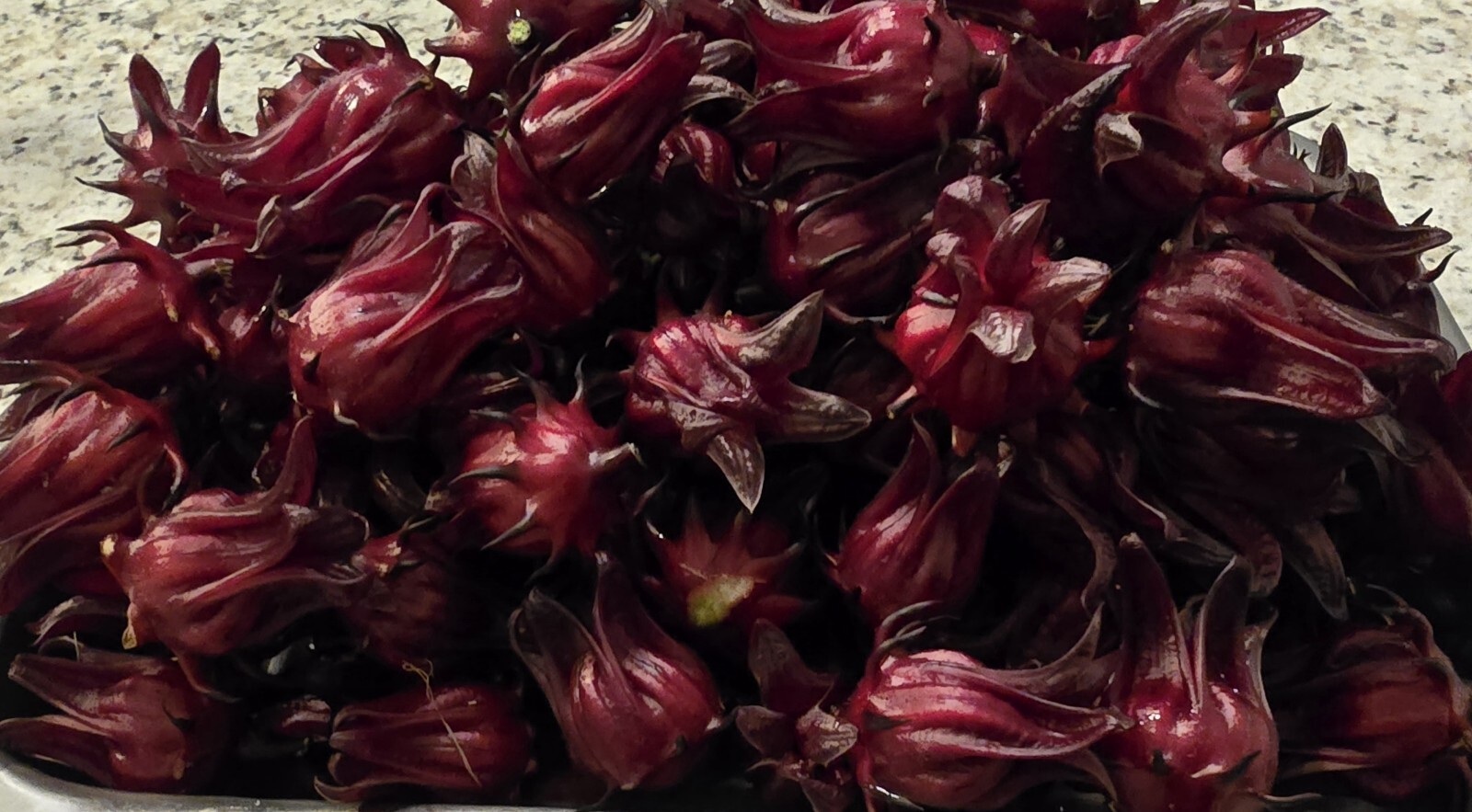 25 Red Hibiscus Roselle Seeds | Sabdariffa Sour Leaf Sorrel Chin Baung Jamaican