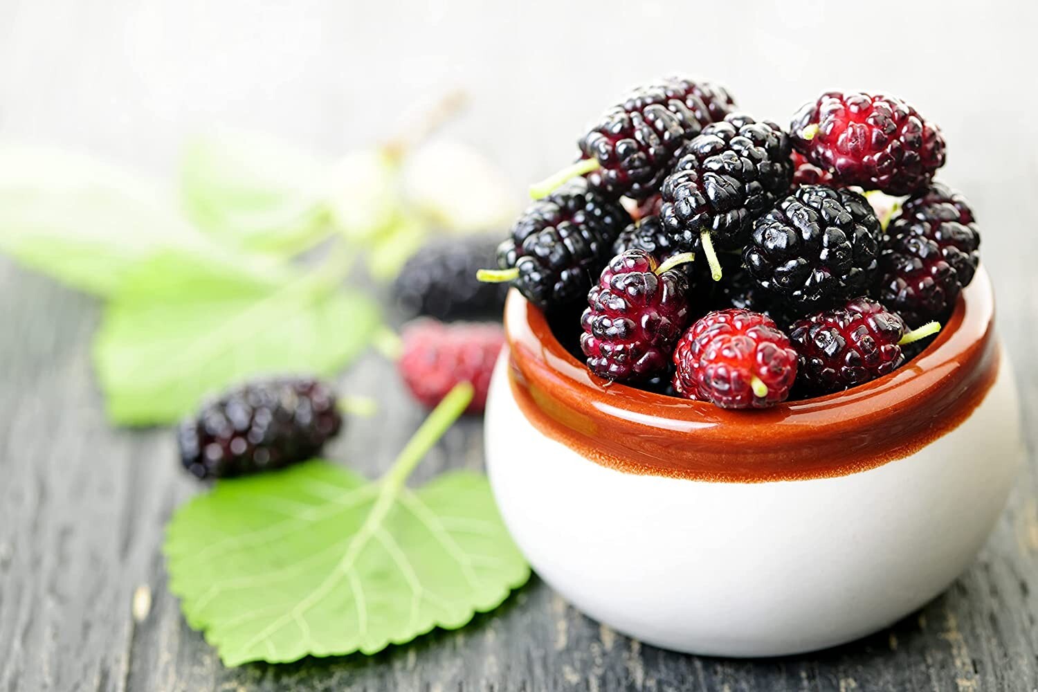 100 Sweet Lavender Mulberry Seeds, USA Seller Free Shipping Fruit Seeds Fragrant