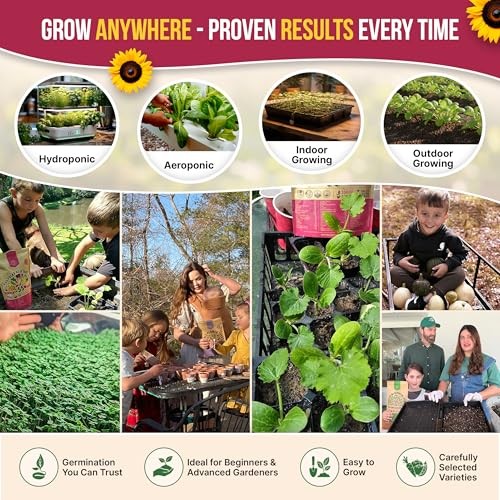 55 Vegetable Seeds Variety Pack – 35,600+ Non 55 Most Popular Vegetable Seeds