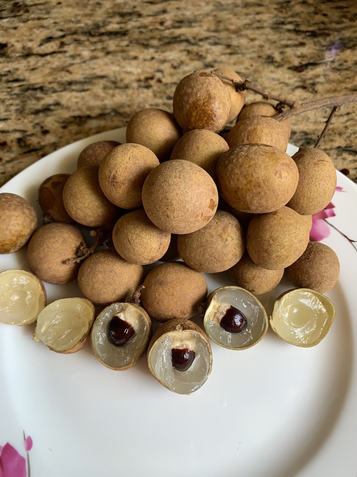 20 Longan Seeds , Dragon Eye Fruit Sweet Delicious , 2024 Season , in Florida