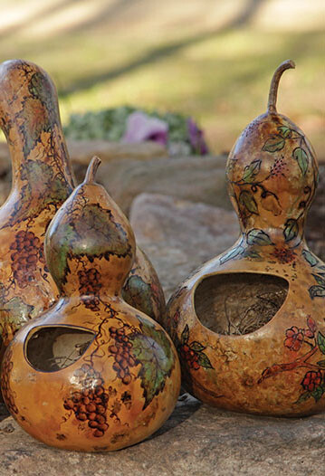 10+Bottle Gourd seeds Birdhouse Craft Calabash Asian Buddha Squash Vegetable USA