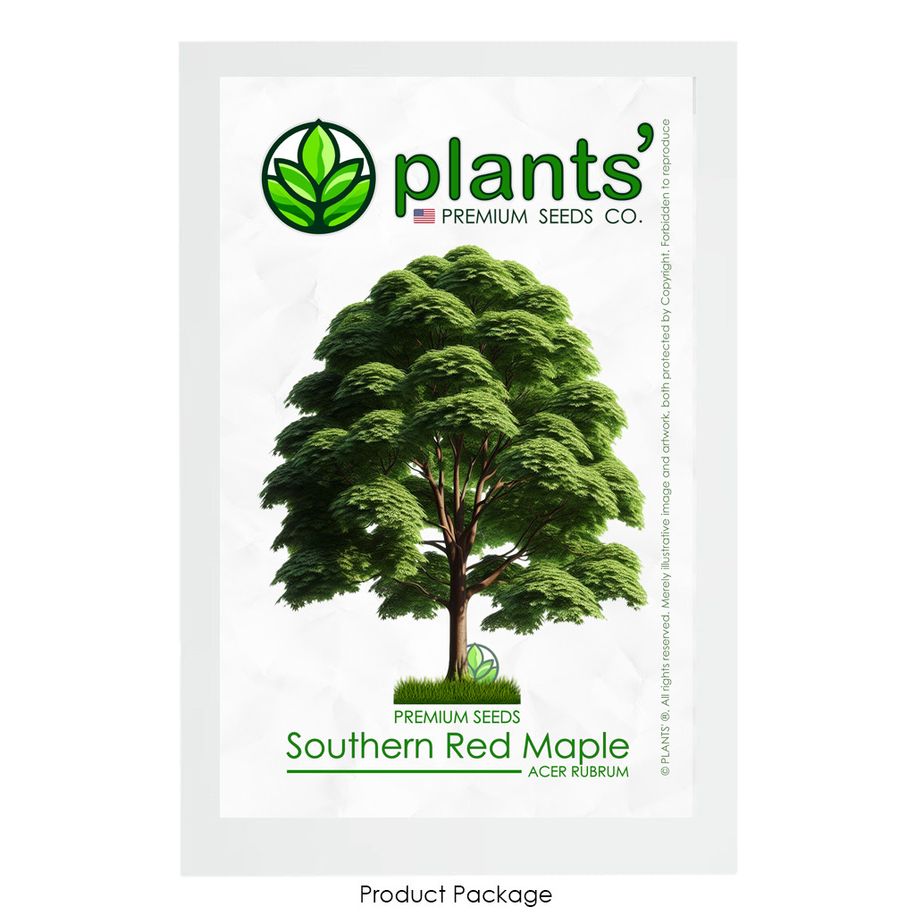 Southern Red Maple Tree | Premium Seeds | Acer rubrum ‘Summer’ | Plants’®