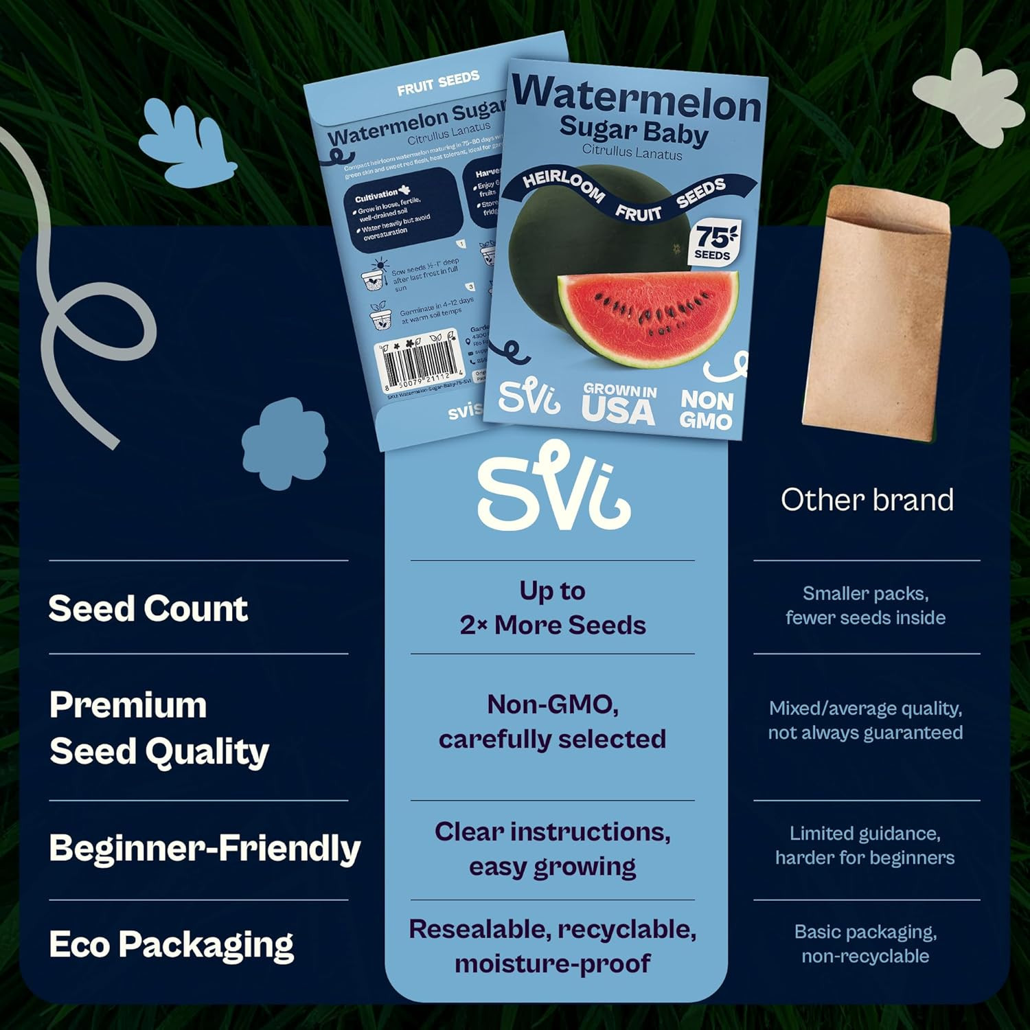 75 Sugar Baby Watermelon Seeds for Planting (Citrullus Lanatus) – Sweet Watermel