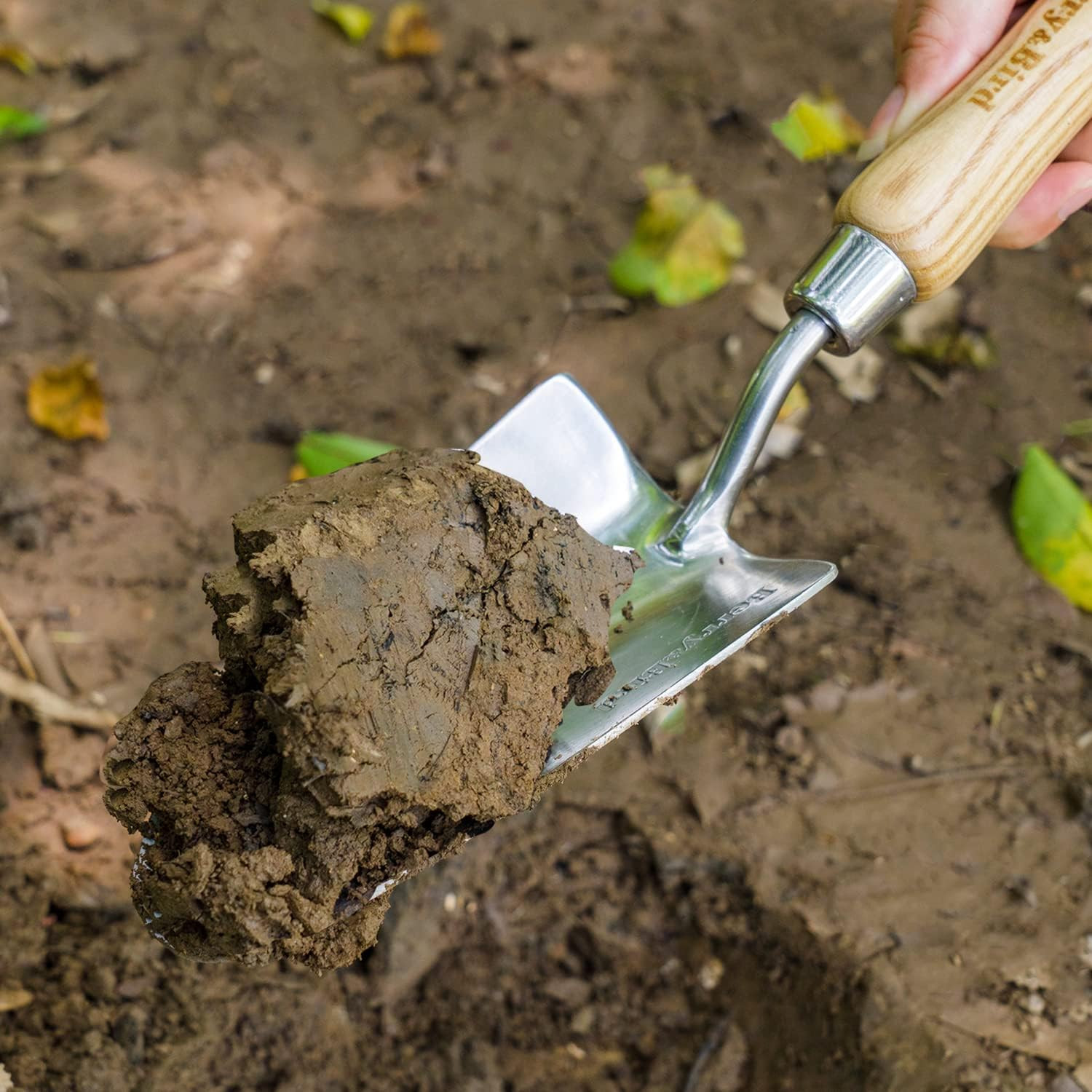 Berry&Bird Stainless Steel Trowel, Garden Small Flower Hand Shovel, Potting Soil