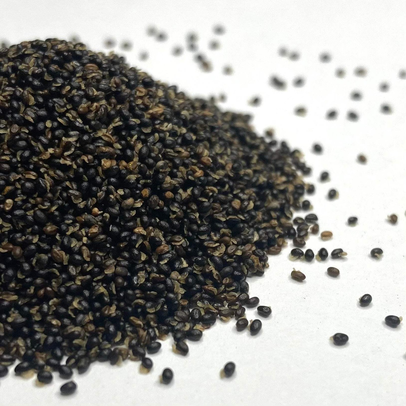 Celandine Seeds (Chelidonium majus) ~Traditional Herb Native Pollinator Garden