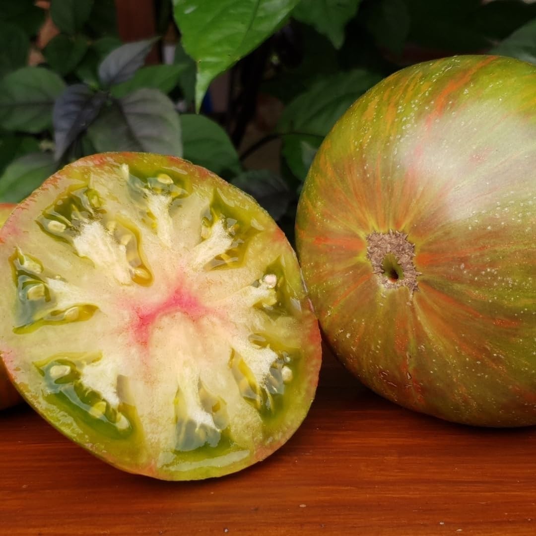 10 seeds Dwarf Peppermint Stripes Tomato ORGANIC Rare DTP
